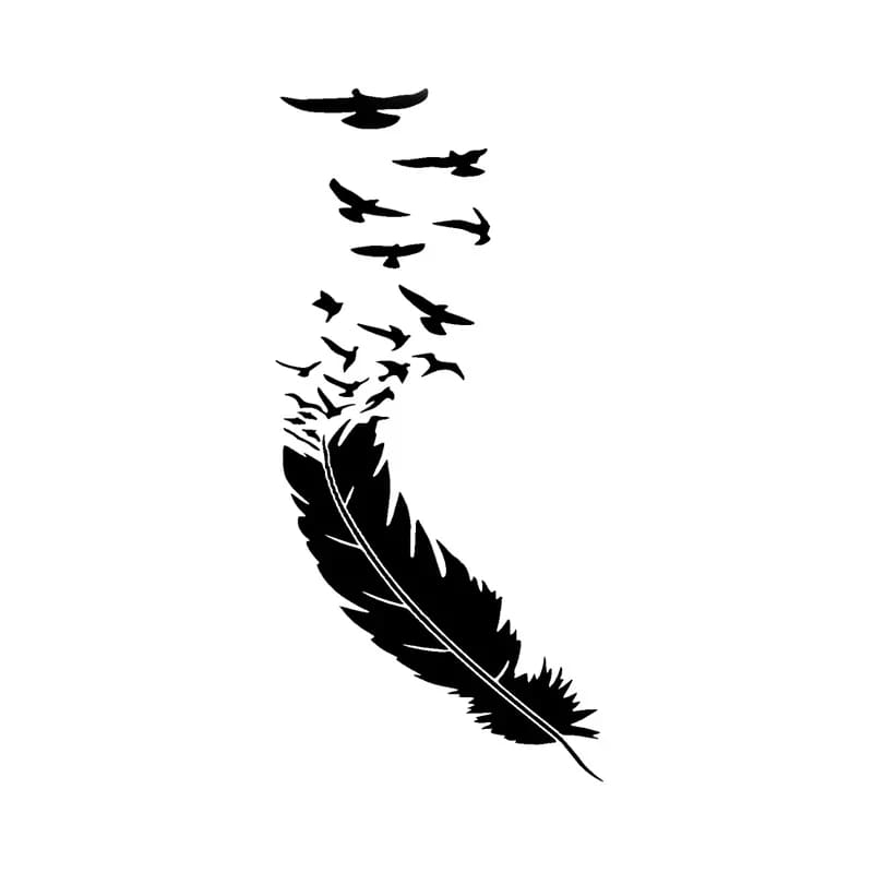 Creative Feathers With Bird Cover Scratches Decals PVC - black / 20cm